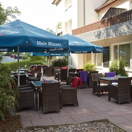 Ringhotel Waldhotel Bärenstein 4*