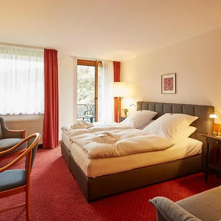 Ringhotel Waldhotel Bärenstein Hotel 4*