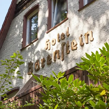 Hotel Waldhotel Baerenstein