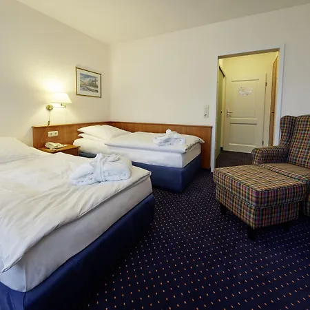 Ringhotel Waldhotel Bärenstein 4*