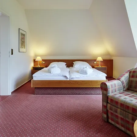 Waldhotel Baerenstein 4*