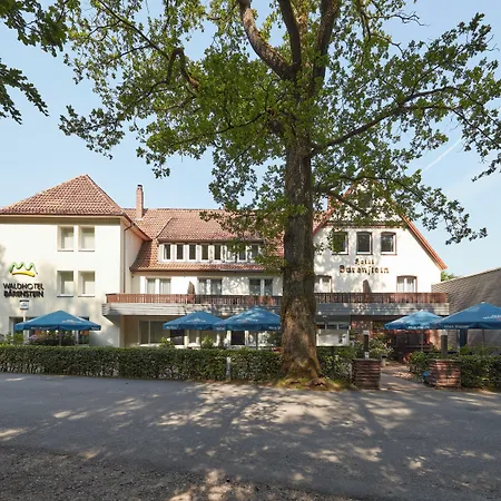 Waldhotel Baerenstein 4*