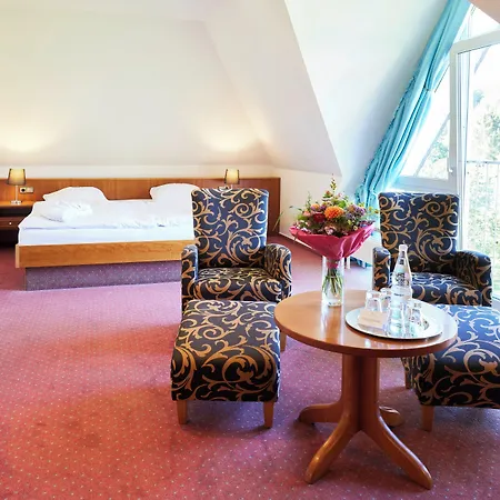 Ringhotel Waldhotel Bärenstein 4*