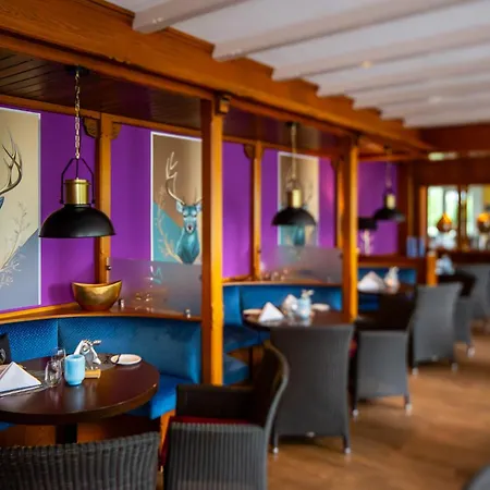 Waldhotel Baerenstein 4*