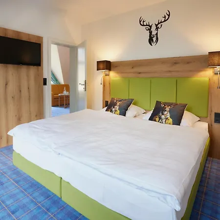 酒店 Waldhotel Baerenstein 4*
