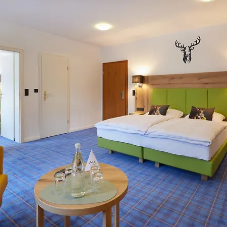 Waldhotel Baerenstein 4*