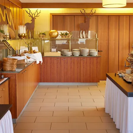 Hotel Waldhotel Baerenstein