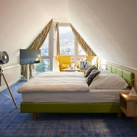 Waldhotel Baerenstein 酒店 4*