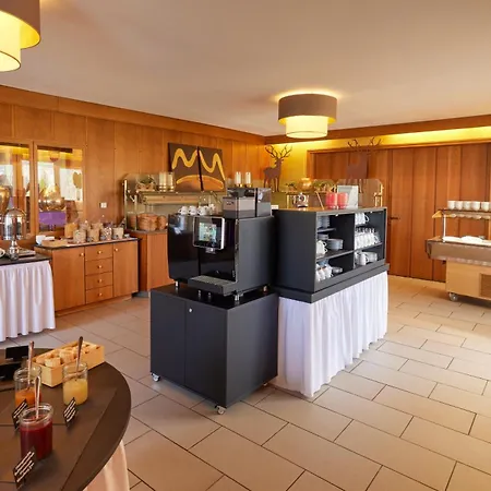 Waldhotel Baerenstein 4*
