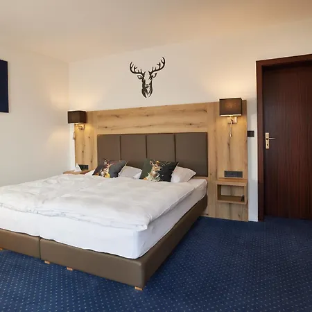 Waldhotel Baerenstein Hotel 4*