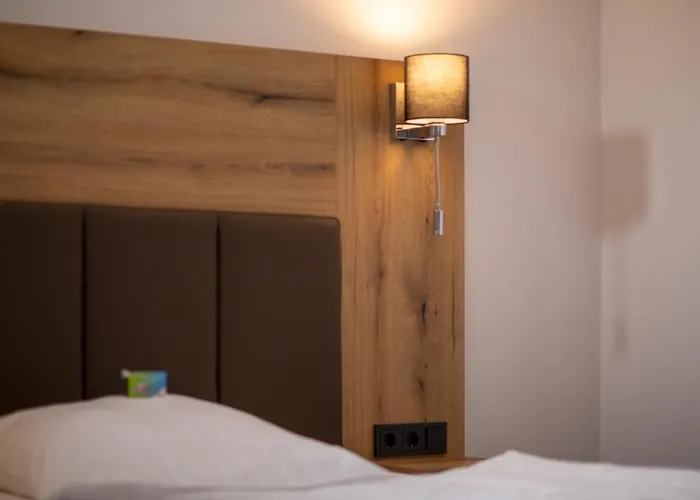 酒店 Waldhotel Baerenstein