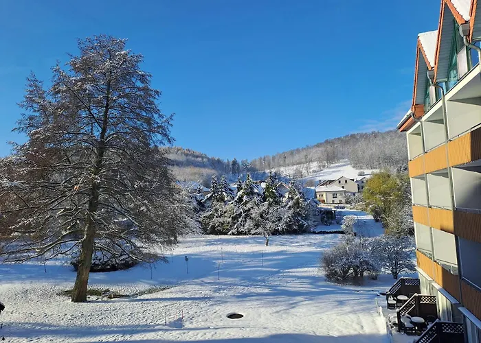 Waldhotel Baerenstein 酒店 霍恩-巴特迈恩贝格