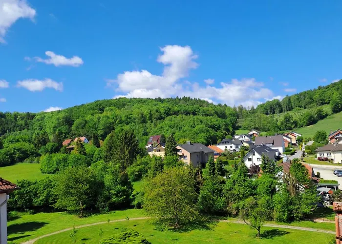 Waldhotel Baerenstein Hotel