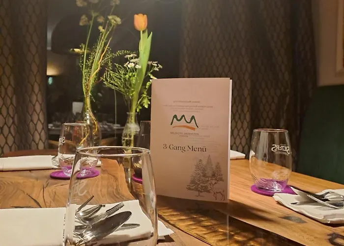 酒店 Waldhotel Baerenstein