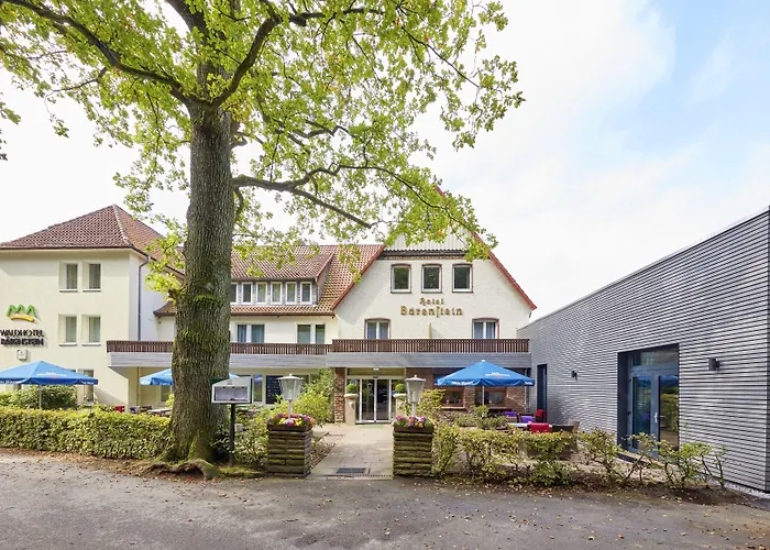 Waldhotel Baerenstein 酒店 霍恩-巴特迈恩贝格