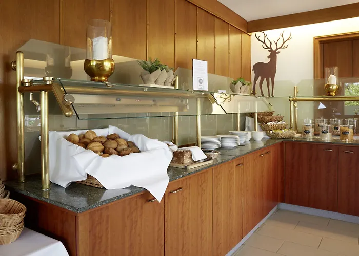 Waldhotel Baerenstein 酒店 霍恩-巴特迈恩贝格