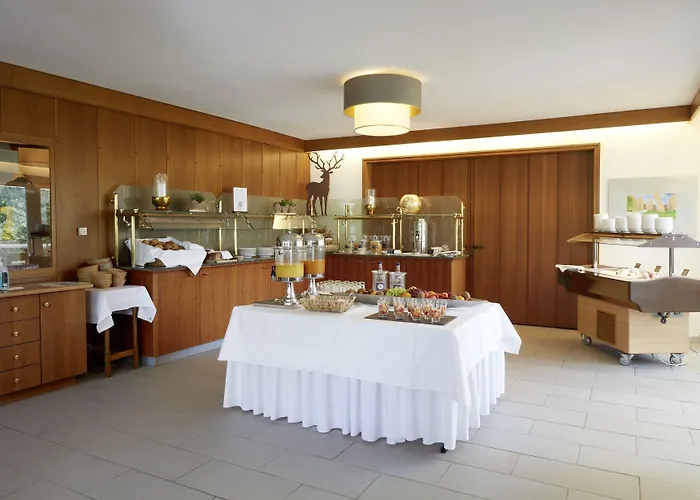 Waldhotel Baerenstein 酒店 霍恩-巴特迈恩贝格