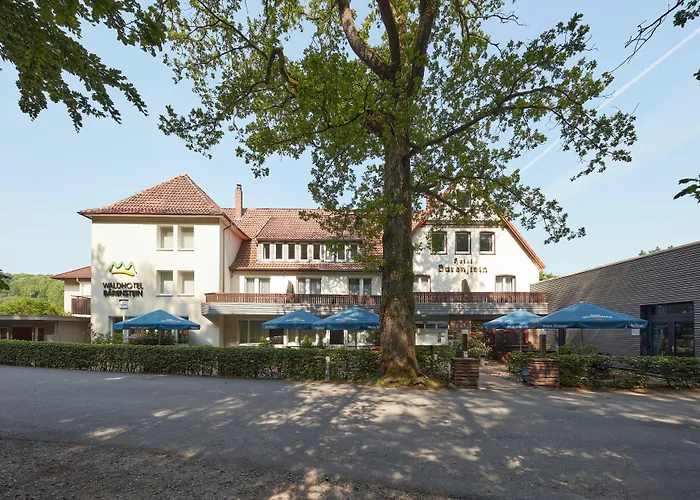 Waldhotel Baerenstein 4*