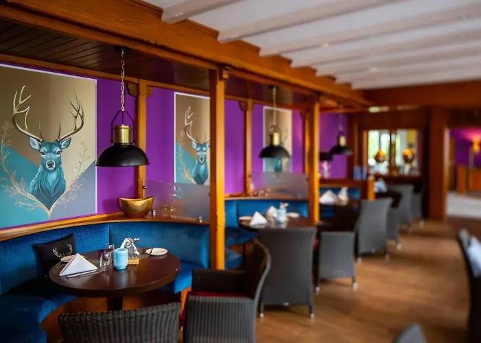 Waldhotel Baerenstein 4*