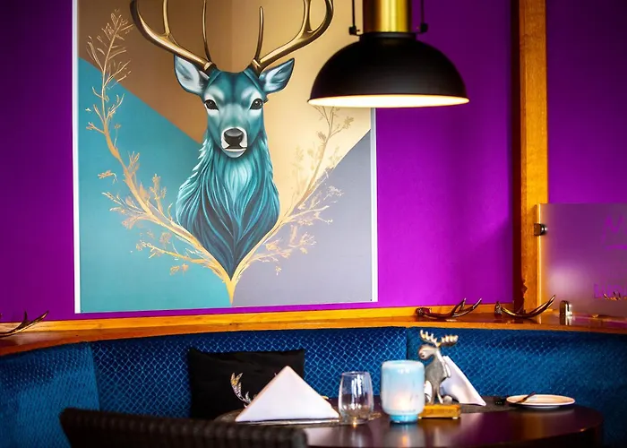 酒店 Waldhotel Baerenstein