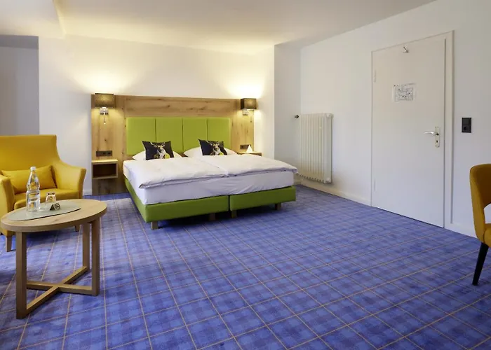 酒店 Waldhotel Baerenstein 霍恩-巴特迈恩贝格