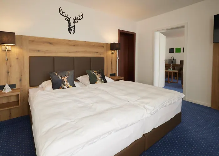 Waldhotel Baerenstein 4*