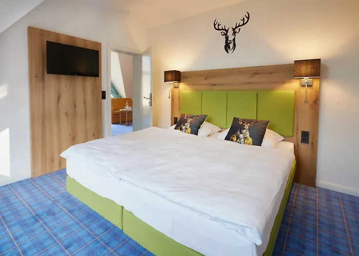 酒店 Waldhotel Baerenstein 4*