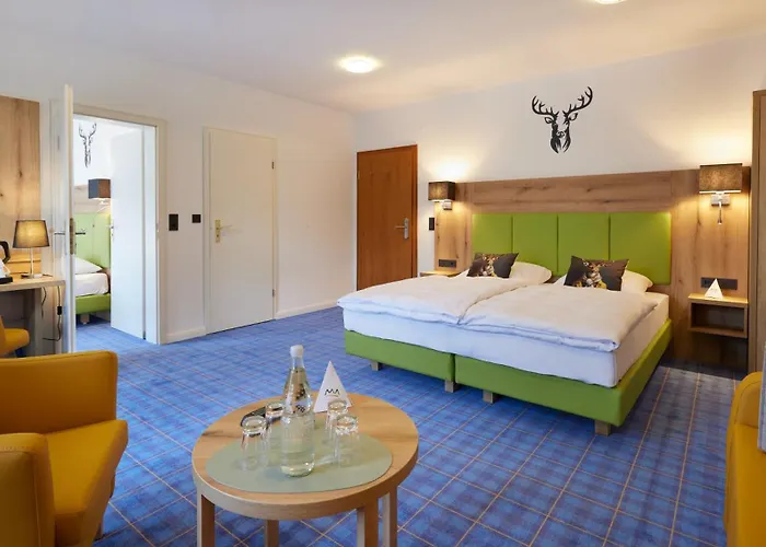 Waldhotel Baerenstein 4*