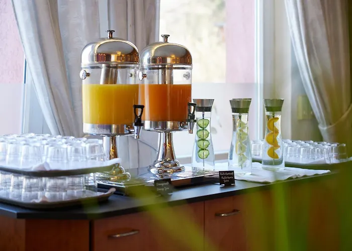 Waldhotel Baerenstein Szálloda 4*