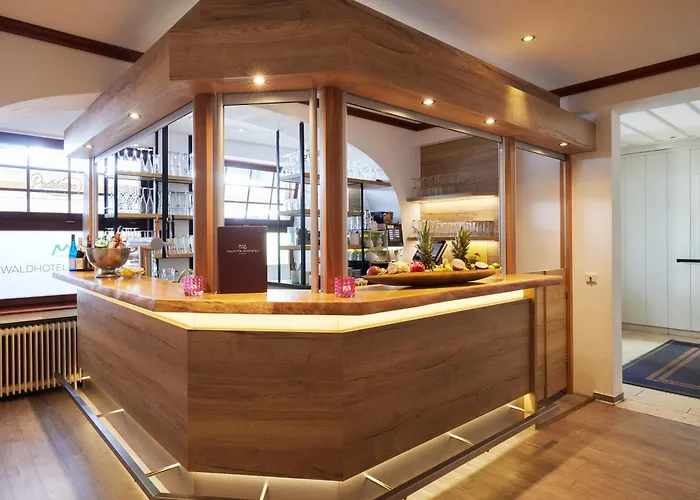 酒店 Waldhotel Baerenstein 霍恩-巴特迈恩贝格