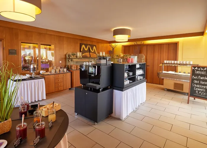 Waldhotel Baerenstein 4*